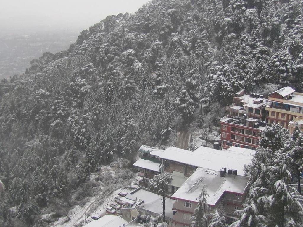 Hotel Deodar Villa Dharamshala Exterior foto