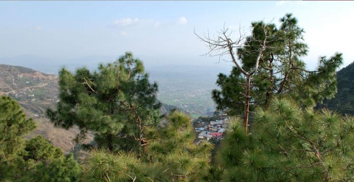 Hotel Deodar Villa Dharamshala Exterior foto